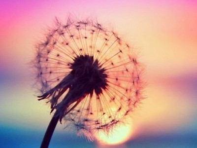 ����˵˵��ͼƬ1