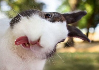 ����˵˵��ͼƬ4