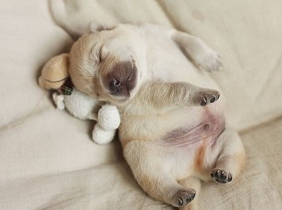 ��Ц˵˵��ͼƬ1