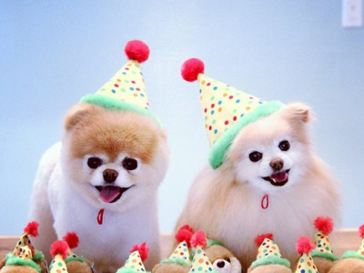 QQ�ռ�ͼƬ˵˵5