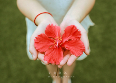 QQ�ռ�ͼƬ˵˵6