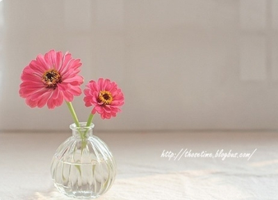 QQ˵˵ͼƬ�ز�4
