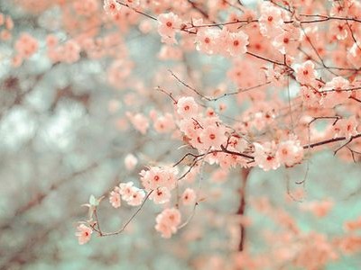 �˸�˵˵��ͼƬ1