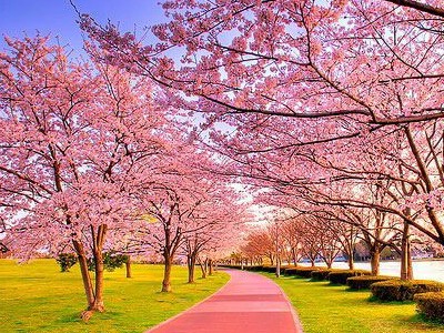 �˸����˵˵�����뿴�㲻���ģ�ȴ�ּ�����ͱ���̫����1