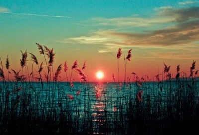 ������ʹ�ľ��ӣ��վ�Ҫ�������ˣ��Ż�ѧ�Ŵ���