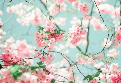 ����˵˵��ͼƬ��������Ҫô����ʼ��Ҫôһ���ӣ�