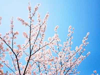 �ռ��������2
