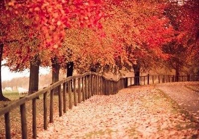 �ܺõ�˵˵��ͼƬ9