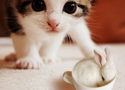 �����Ц˵˵���㲻ϲ���ң����ǲ����Σ�һ������