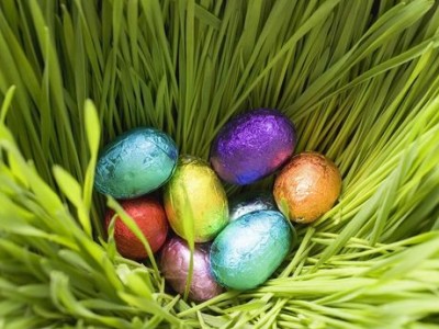 ��Ц˵˵��ȫ��������Ҳ�ǿų������ӣ�����³���������