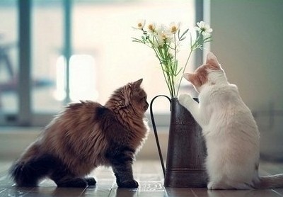 ��Ц˵˵��ͼƬ1