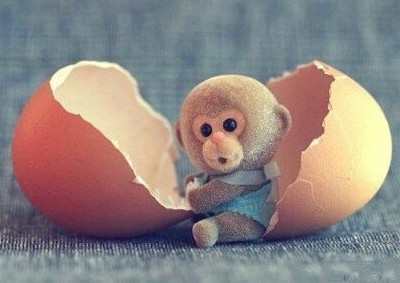�ռ��Ц˵˵����ô��Ҫ������ôû��û�Σ��������Ӧ�û�����