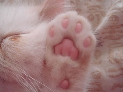 ��Ц����˵˵��������ҵ���Ƿ��ְɣ�����������Ĳ�����1