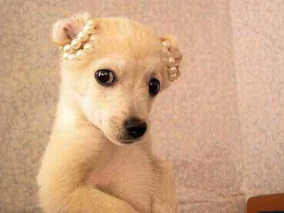 ��Ȥ��QQ˵˵��ȫ1