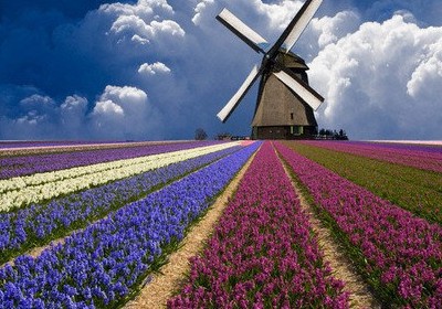 ��̵ĸ���˵˵��������������޹أ��ҵ�������ֻ���Թ�1