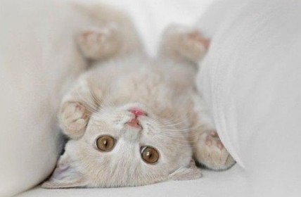 ��ק��QQ˵˵���������ˣ�������Ͱ���ɾ��