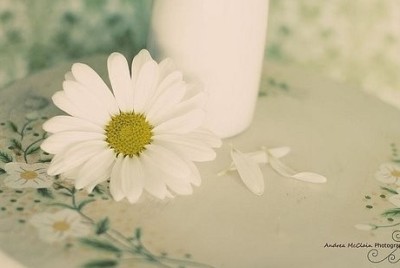 ���¿ռ����˵˵�����������Լ���������Ǳ�������